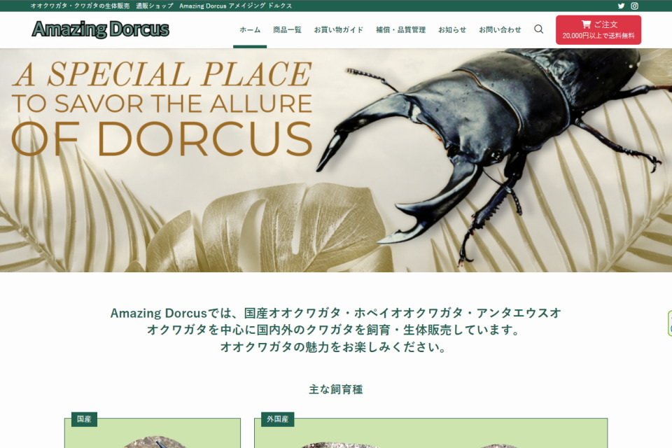 Amazing Dorcus 様　ホームページ